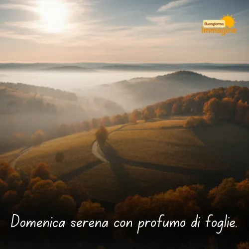 Immagini Buongiorno Gratis per Iniziare la Giornata con un Sorriso 149 Domenica serena con profumo di foglie