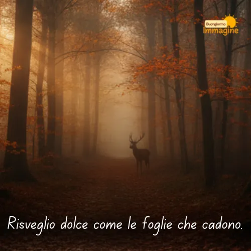 Immagini Buongiorno Gratis per Iniziare la Giornata con un Sorriso 151 Risveglio dolce come le foglie che cadono