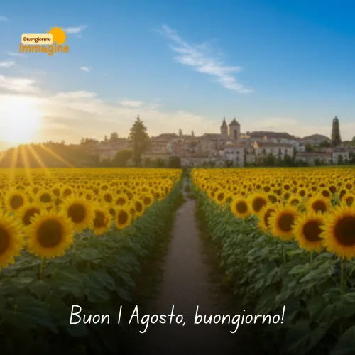 Immagini Buongiorno Gratis per Iniziare la Giornata con un Sorriso 225 Buon 1 Agosto, buongiorno!