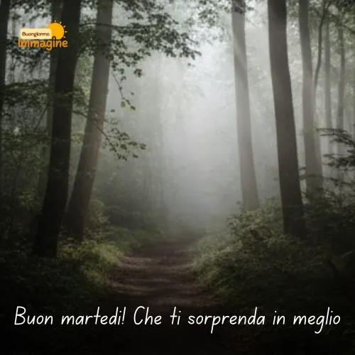 Immagini Buongiorno Gratis per Iniziare la Giornata con un Sorriso 81 Buon martedì! Che ti sorprenda in meglio