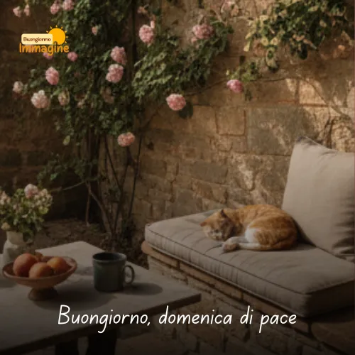 Buongiorno domenica di pace