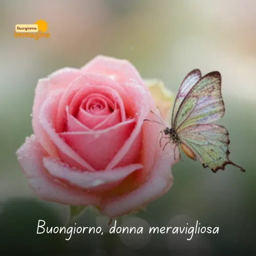 Immagini Buongiorno Gratis per Iniziare la Giornata con un Sorriso 232 Buongiorno, donna meravigliosa
