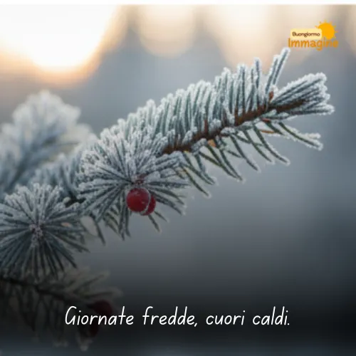 Immagini Buongiorno Gratis per Iniziare la Giornata con un Sorriso 154 Giornate fredde, cuori caldi