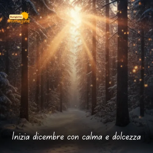 Immagini Buongiorno Gratis per Iniziare la Giornata con un Sorriso 172 Inizia dicembre con calma e dolcezza