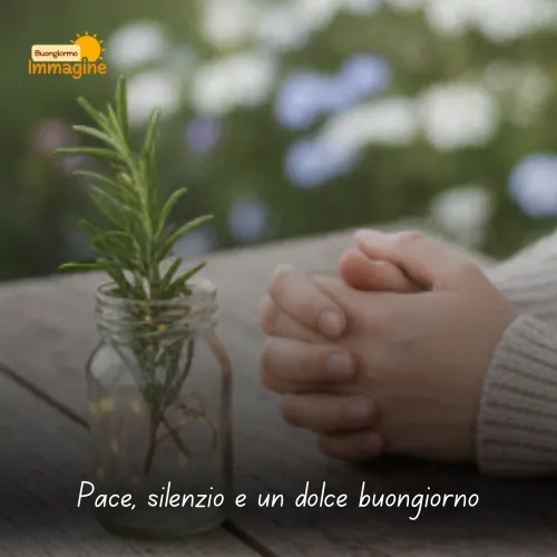 Immagini Buongiorno Gratis per Iniziare la Giornata con un Sorriso 102 Pace, silenzio e un dolce buongiorno