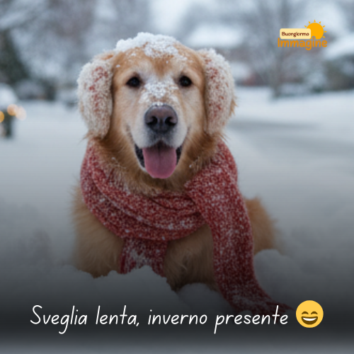 Immagini Buongiorno Gratis per Iniziare la Giornata con un Sorriso 126 Sveglia lenta, inverno presente 😄