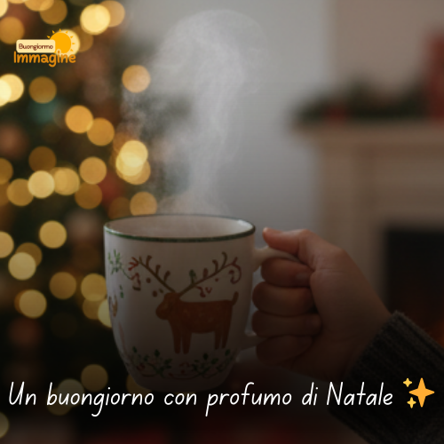 Immagini Buongiorno Gratis per Iniziare la Giornata con un Sorriso 132 Un buongiorno con profumo di Natale ✨