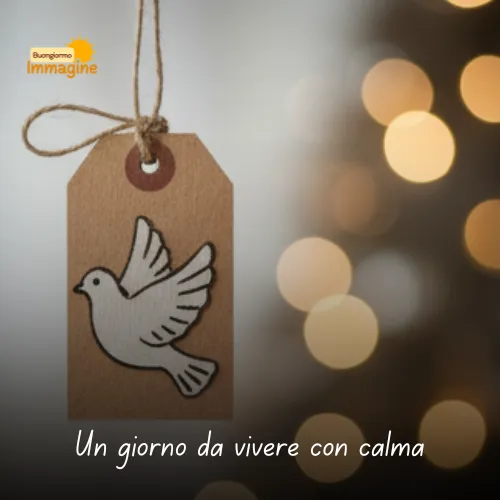 Immagini Buongiorno Gratis per Iniziare la Giornata con un Sorriso 216 Un giorno da vivere con calma