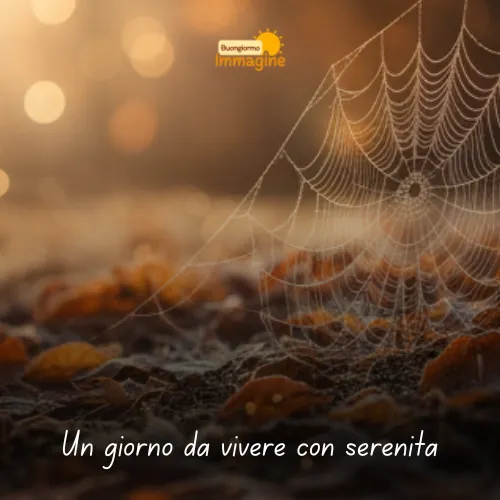 Immagini Buongiorno Gratis per Iniziare la Giornata con un Sorriso 169 Un giorno da vivere con serenità