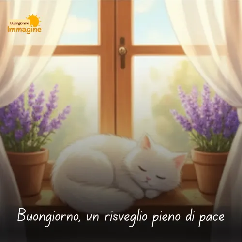 Buongiorno Buon Venerdì Immagini Nuove da Condividere con Gioia 54 Buongiorno, un risveglio pieno di pace