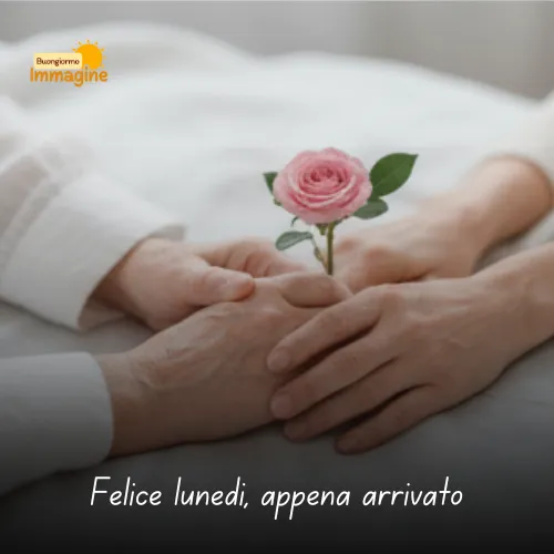 Immagini Buongiorno Buon Lunedì per Iniziare con Positività 33 Felice lunedì, appena arrivato