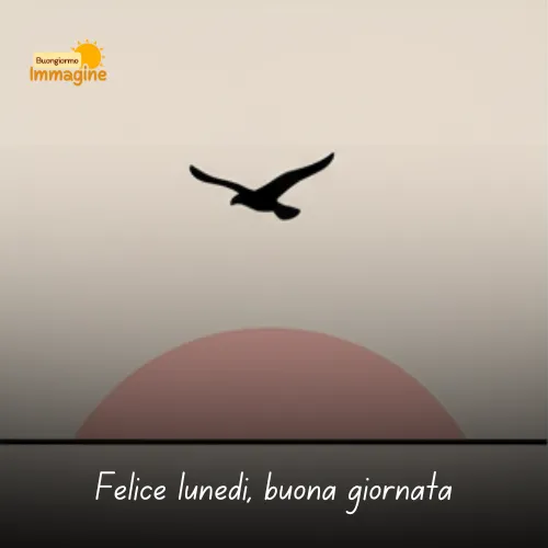 Immagini Buongiorno Buon Lunedì per Iniziare con Positività 43 Felice lunedì, buona giornata