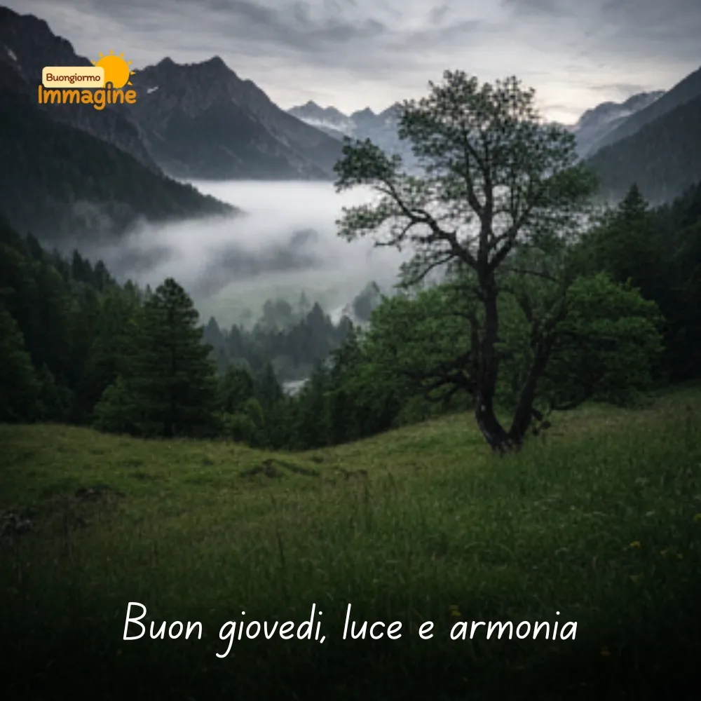 Buon gioved&igrave;, luce e armonia