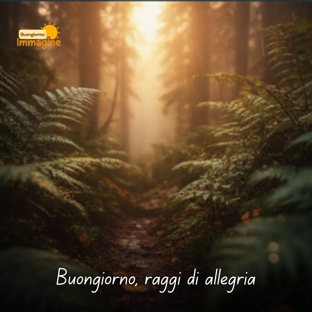Buongiorno, raggi di allegria